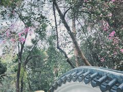 -深圳国际园林花卉博览园