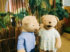 -济州岛泰迪熊博物馆