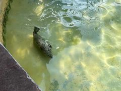 -济南野生动物世界