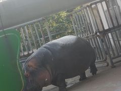 -临沂动植物园
