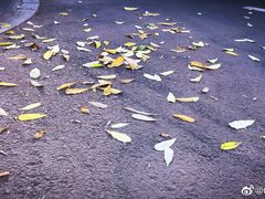 -清真·胖妈妈手抓餐厅(定西路长城宾馆店)