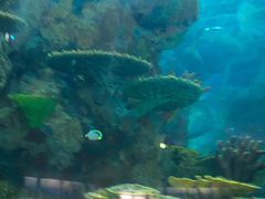 -青岛嘉年华主题乐园