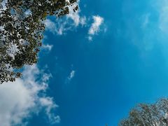 -梁鸿国家湿地公园