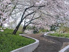-杭州少年儿童公园