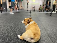-Stud CrossFit(泰丰大厦店)