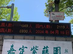 -嘉定紫藤园