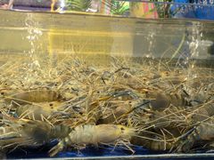 -79号渔船海鲜饭店(华强北店)