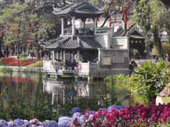 -荔湾湖公园