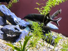 -上海海洋水族馆