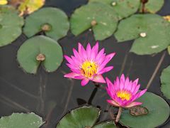 -星巴克(深圳前海企业公馆店)