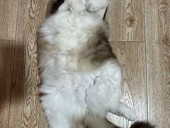 -白兔子密室(长寿路店)