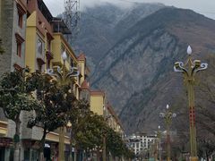 -金鼎雪山牦牛杂火锅(理县总店)