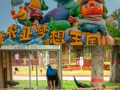 -北戴河集发农业梦想王国