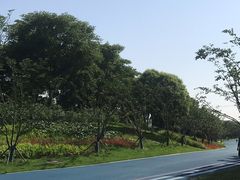 -贡湖湾湿地公园