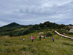 -白草畔自然风景区