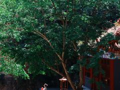 -圣莲山风景区