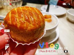 酥皮水牛奶菠萝包-陶陶居酒家(环市东店)