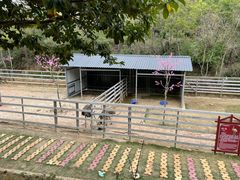 -田园寨农园观光园