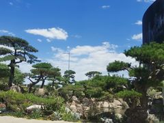 -罗红摄影艺术馆