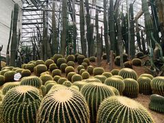 -南山植物园