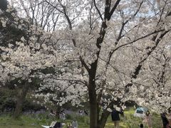 -苏州上方山国家森林公园