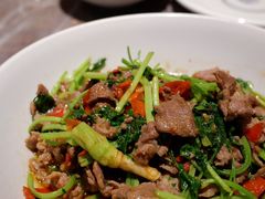 香菜炒牛肉-壹盏灯(蚂蚁工房店)