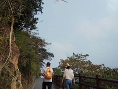 -羚羊峡古栈道森林公园
