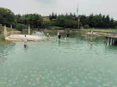 -上海月湖雕塑公园