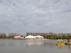 -上海长兴岛郊野公园