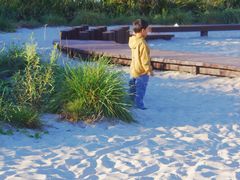 -永定河休闲森林公园