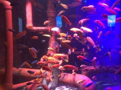 -沈阳海洋探索中心