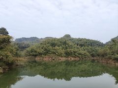 -沐川竹海旅游景区