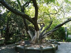 -采石矶景区