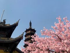 -台湾味正点车轮饼可丽饼(南禅寺店)