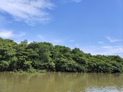 -东寨港红树林旅游区