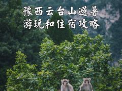 -云台山风景名胜区