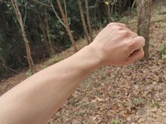 -梧桐山风景名胜区