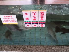 -花好悦园(瀛洲店)