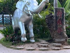 -野象谷景区