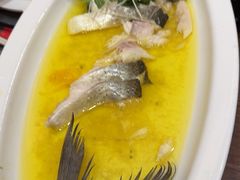 -鲁宴·鲁煨黄河生态大鲤鱼(月坛店)