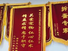 -美联众合动物医院(·中兽医·疑难杂症·严家桥分院)