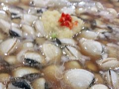 -顺德哥卜卜贝(旗舰店)