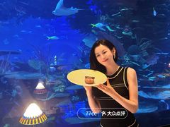 -迪拜帆船酒店海底餐厅