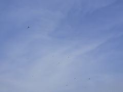 -君乐宝优致牧场