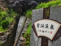 -黑龙潭公园