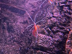 -沈阳海洋探索中心