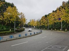 -鸿恩陶然大观园