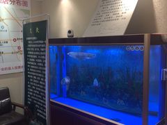 -宜华康盲人按摩(中关村店)