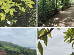 -西双版纳总佛寺