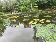 -曼听御花园